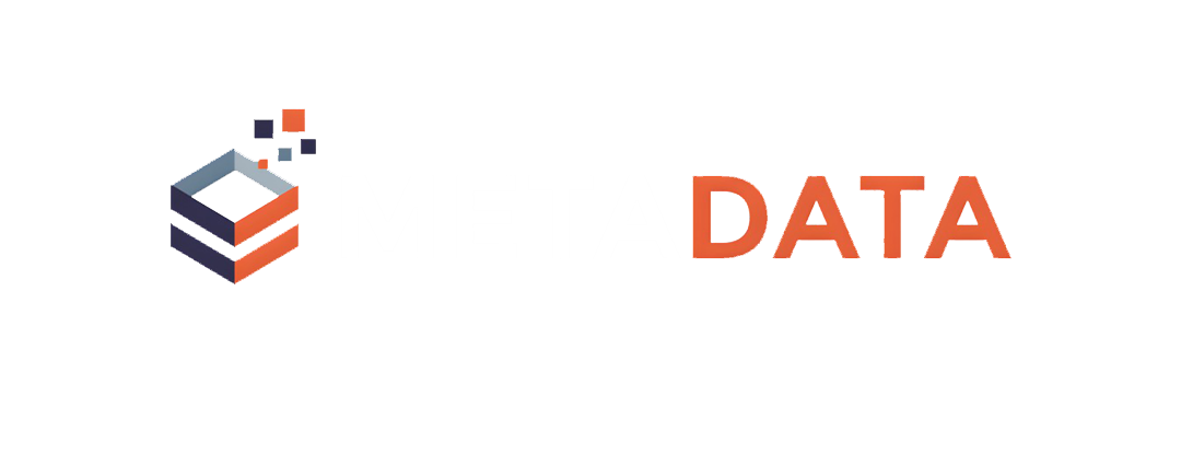MetaData logo